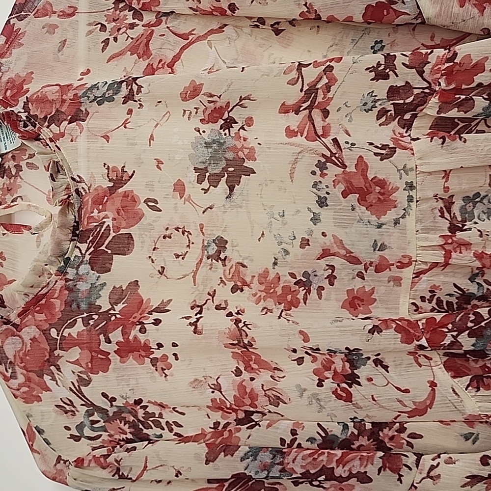 Sundance Floral Sheer Romantic Gardencore Beautiful Blouse Red & Cream Size XXL - Picture 3 of 8